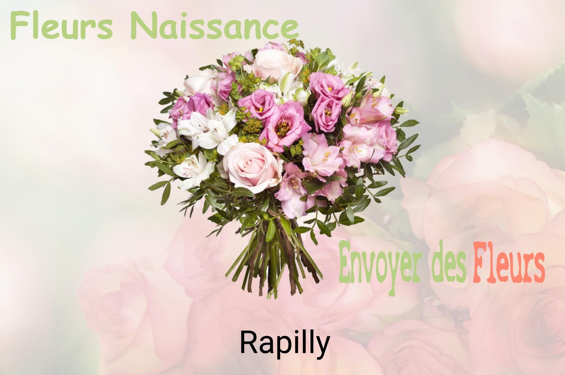 Bouquet de fleurs de naissance livré à Rapilly
